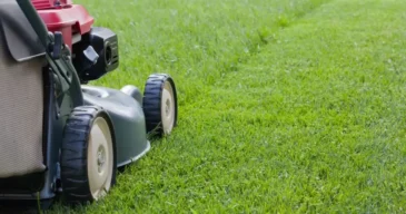 Grass-Cutting