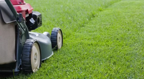 Grass-Cutting